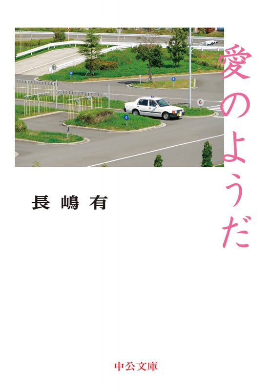 愛のようだ (中公文庫)