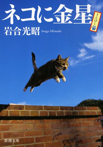写真集 ネコに金星 (新潮文庫)
