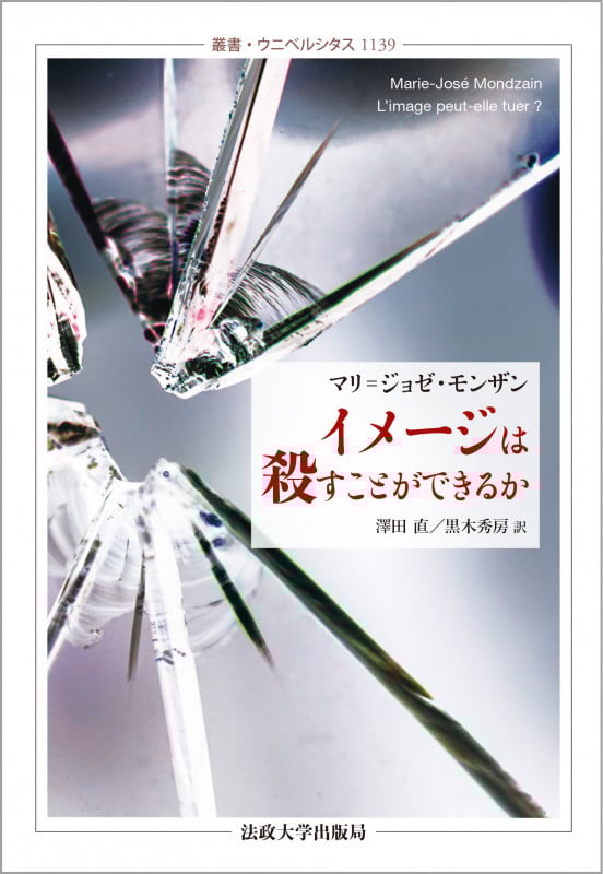 イメージは殺すことができるか (叢書・ウニベルシタス 1139)