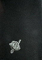 じみへん 4 (スピリッツじみコミックス)