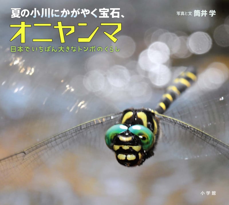 夏の小川にかがやく宝石、オニヤンマ 日本でいちばん大きなトンボのくらし (小学館の図鑑NEOの科学絵本)