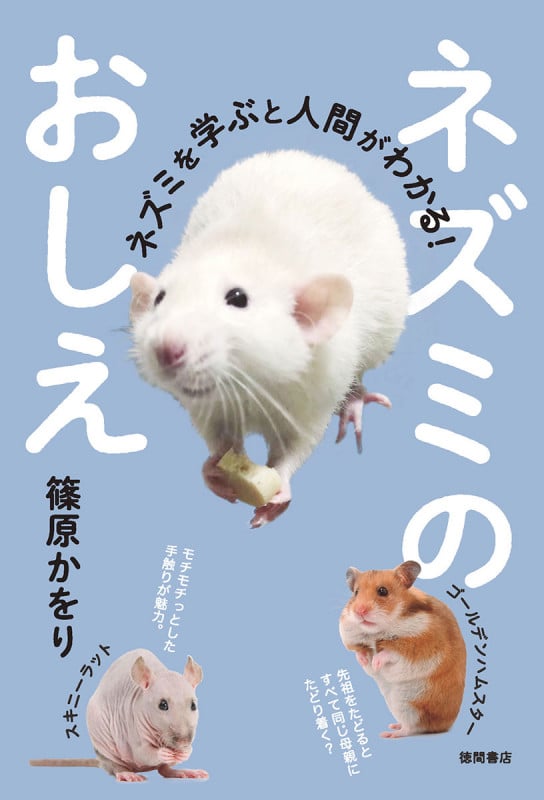 ネズミのおしえ ネズミを学ぶと人間がわかる!の詳細を見る