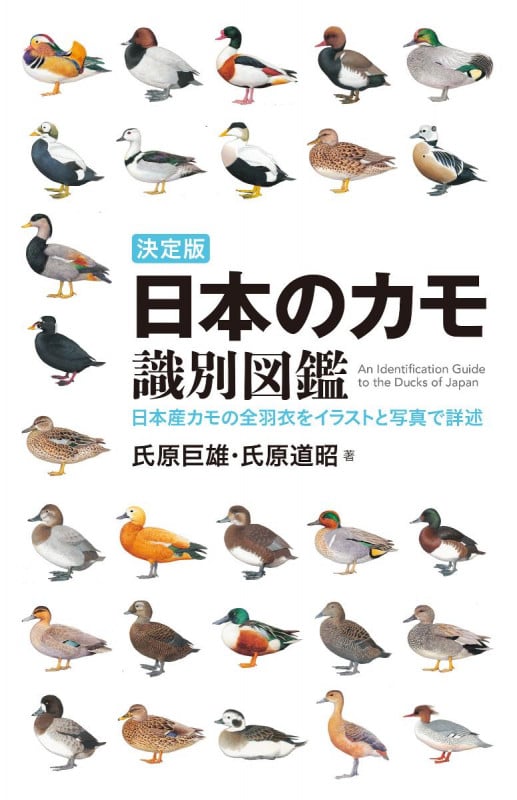 決定版 日本のカモ識別図鑑 日本産カモの全羽衣をイラストと写真で詳述の詳細を見る