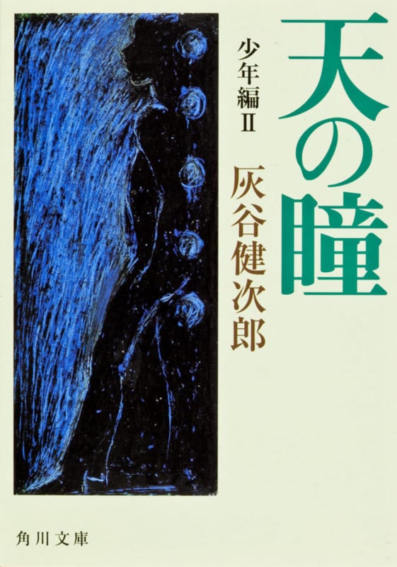 天の瞳 少年編II (角川文庫)