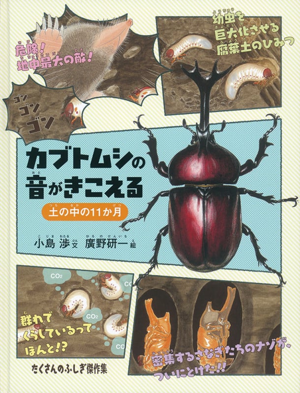 カブトムシの音がきこえる 土の中の11か月 (たくさんのふしぎ傑作集)