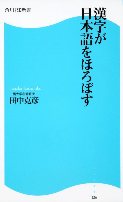 漢字が日本語をほろぼす (角川SSC新書)