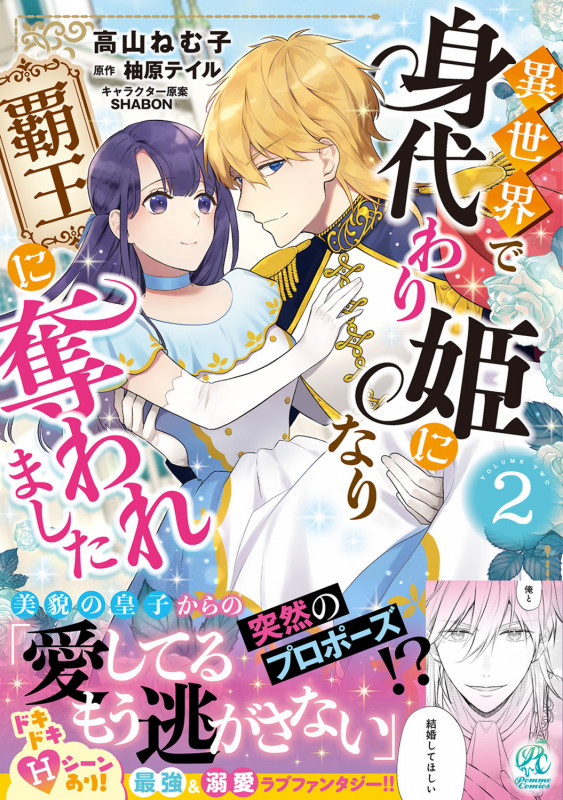 異世界で身代わり姫になり覇王に奪われました(2)の詳細を見る