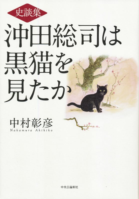 史談集 沖田総司は黒猫を見たか (単行本)の詳細を見る