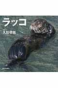 ラッコ (北国の野生動物)