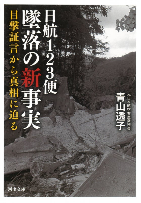 日航123便チケット永久欠番(半券)1985年 日航123便墜落の新事実 目撃証言から真相に迫る | 青山透子の