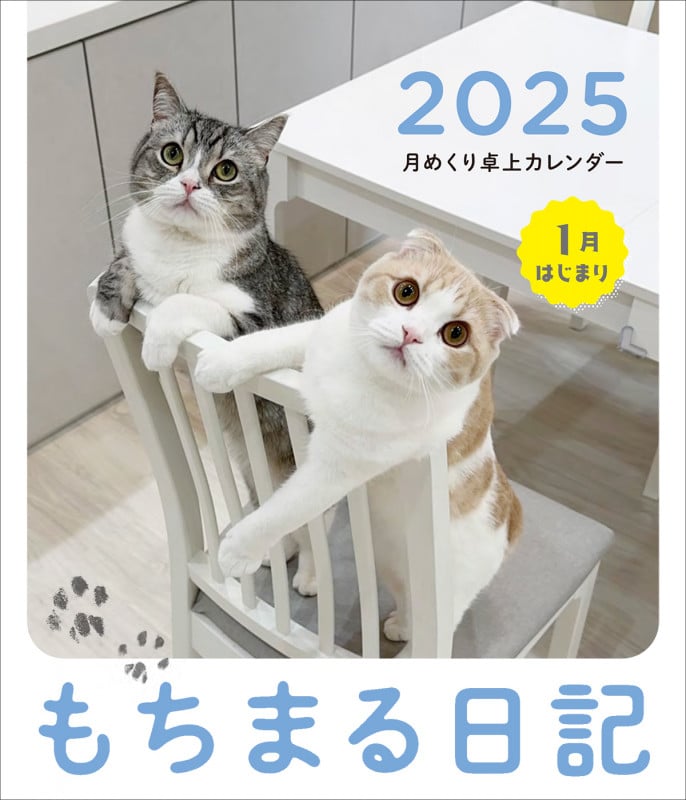 もちまる日記 2025 1月はじまり月めくり卓上カレンダー