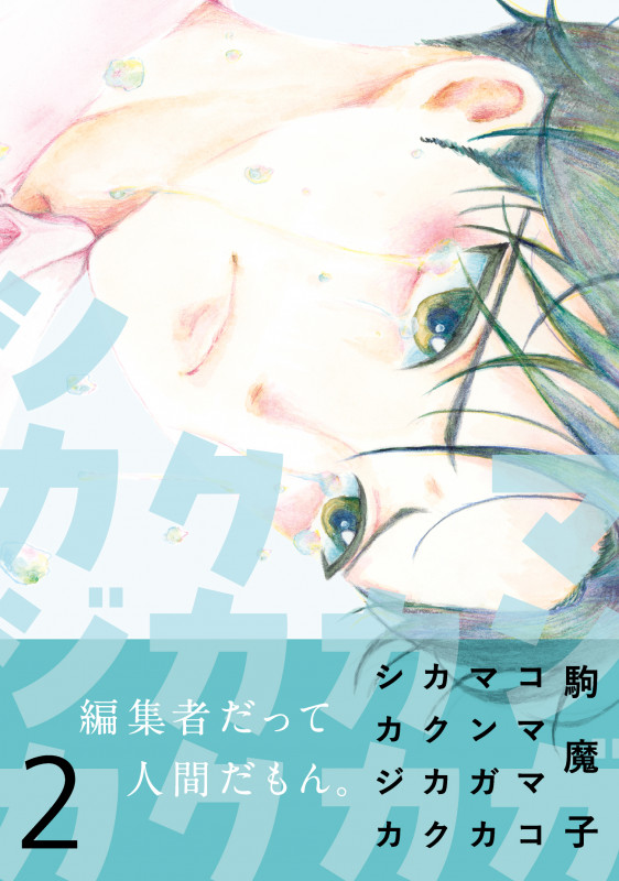 マンガカカクカクシカジカ2 (コミックアウル)