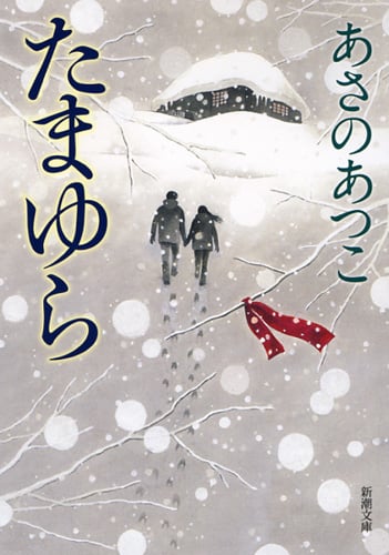 たまゆら (新潮文庫)の詳細を見る