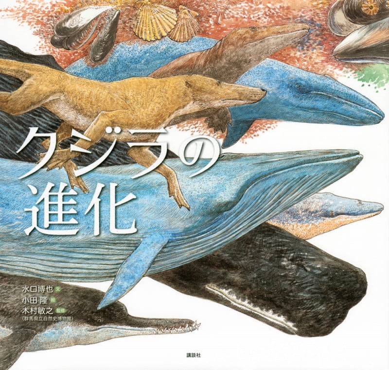 クジラの進化 (講談社の創作絵本)