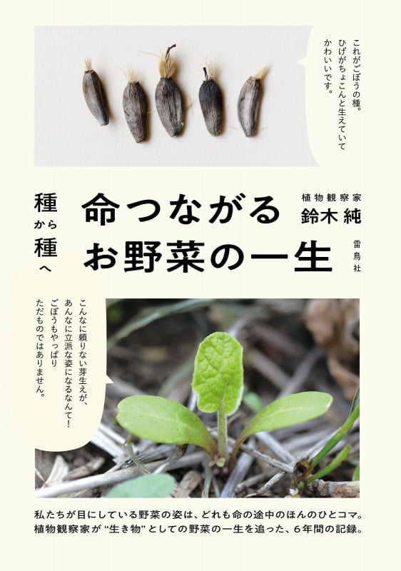種から種へ命つながるお野菜の一生
