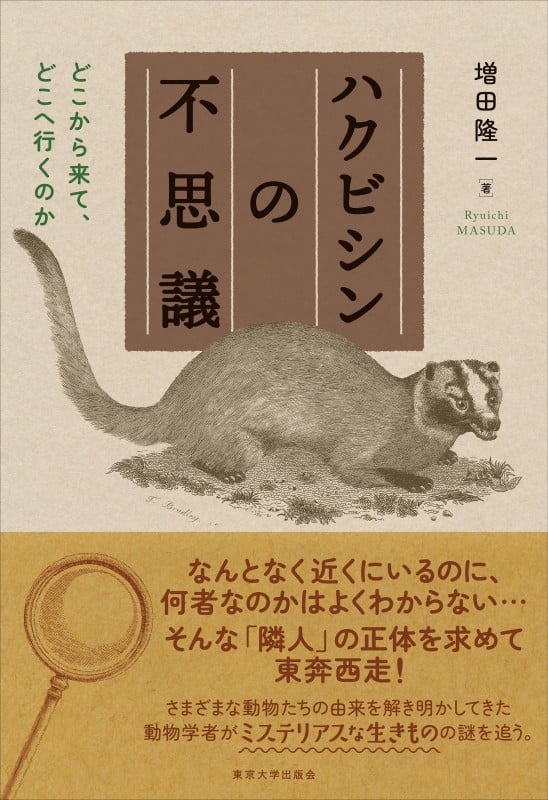 ハクビシンの不思議 どこから来て、どこへ行くのか