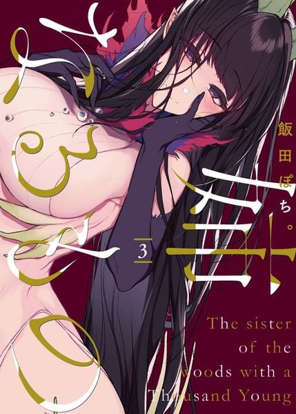 姉なるもの3 (電撃コミックスNEXT)