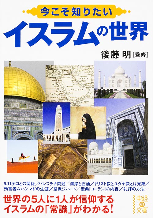 今こそ知りたいイスラムの世界 (中経の文庫)