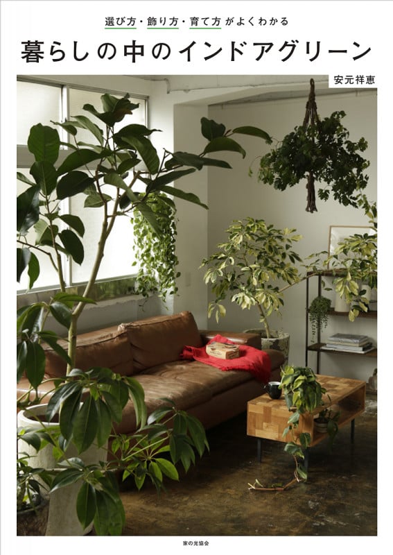 暮らしの中のインドアグリーン 選び方、飾り方、育て方がよくわかる