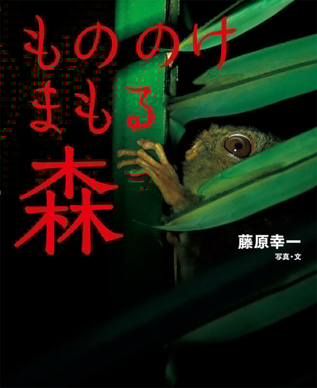 もののけまもる森 (シリーズ・自然いのちひと)