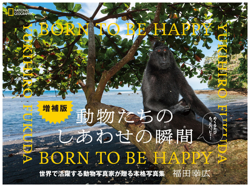 写真集 動物たちのしあわせの瞬間 増補版 BORN TO BE HAPPY (NATIONAL GEOGRAPHIC)の詳細を見る