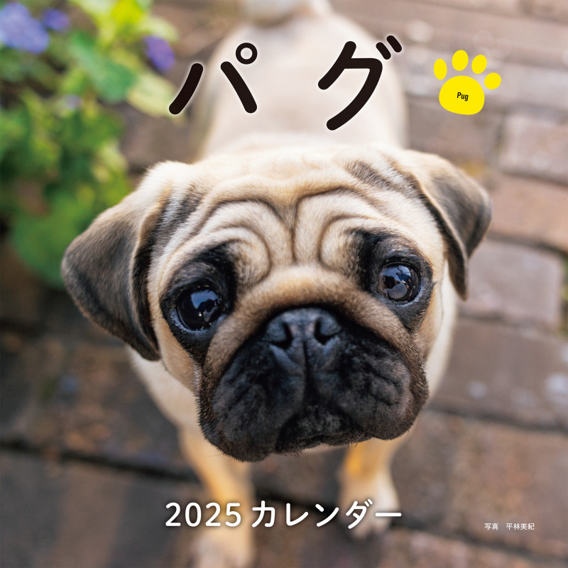 2025年カレンダー パグ (誠文堂新光社カレンダー)
