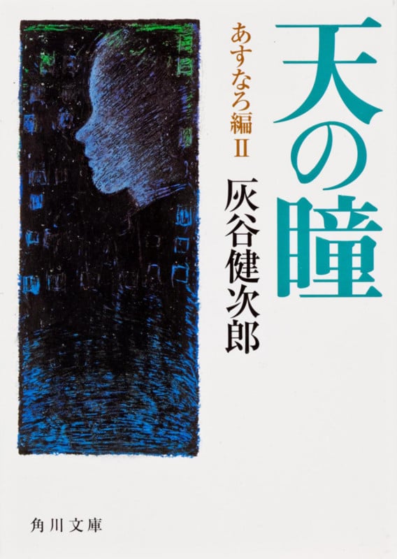 天の瞳 あすなろ編 (2) (角川文庫)