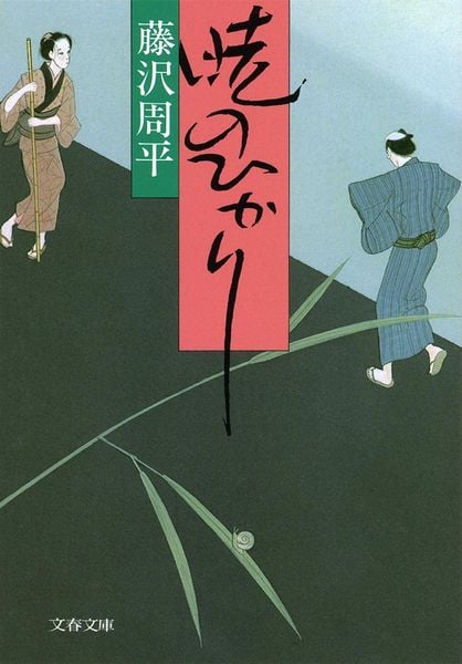 暁のひかり (文春文庫)の詳細を見る