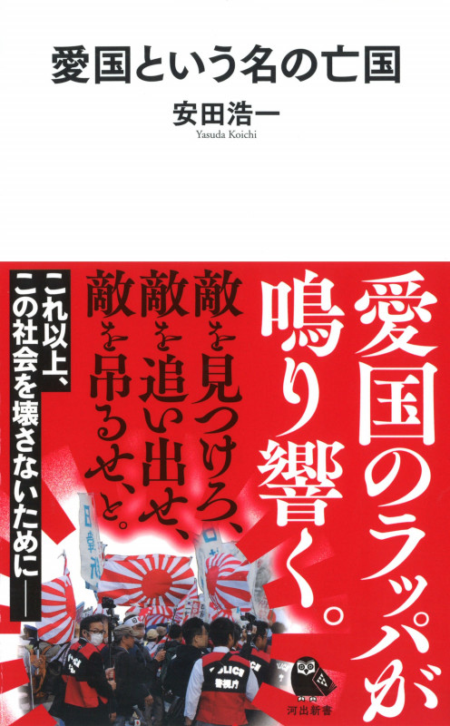 愛国という名の亡国 (河出新書)