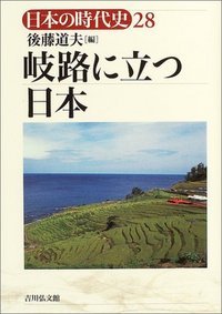 岐路に立つ日本 (日本の時代史 28)