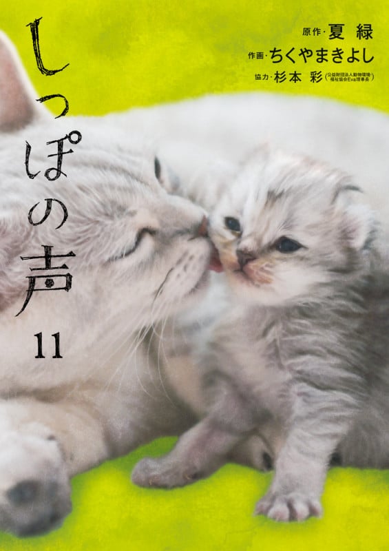 しっぽの声 (11) (ビッグ コミックス)