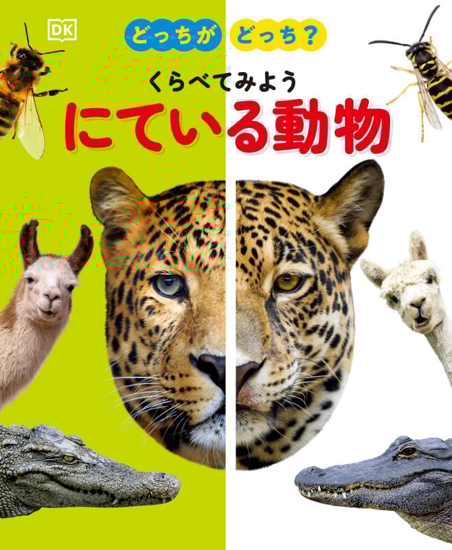 どっちがどっち?くらべてみようにている動物