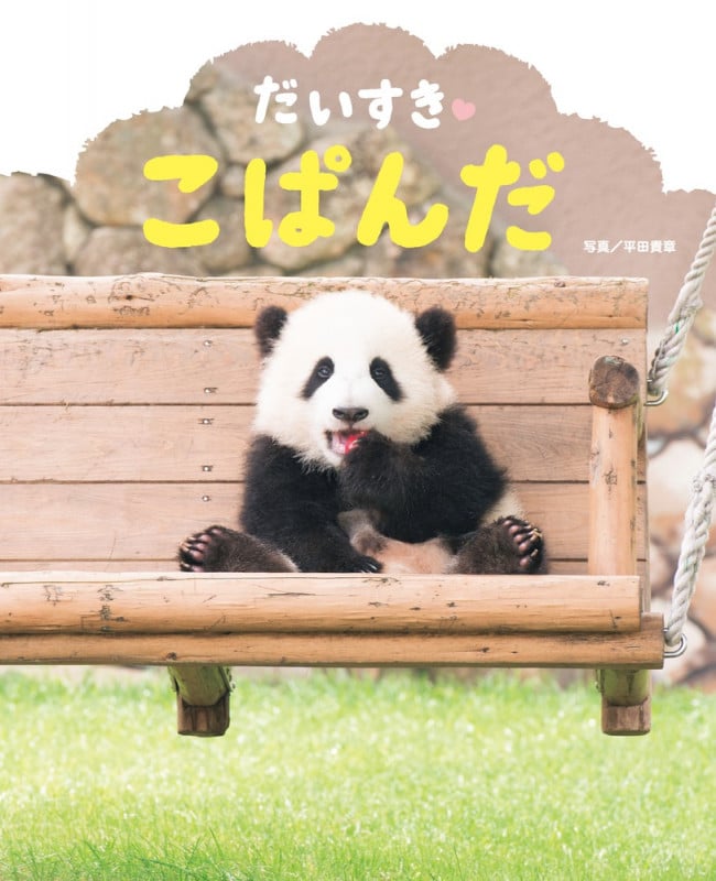 だいすきこぱんだ (ぴっかぴかえほん)の詳細を見る