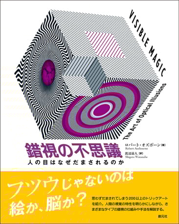 錯視の不思議 人の目はなぜだまされるのか