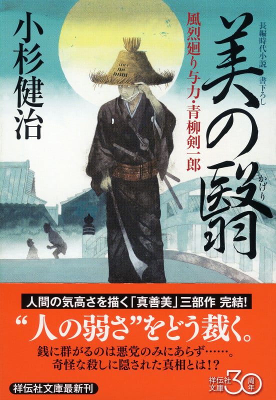 美の翳 風烈廻り与力・青柳剣一郎 (祥伝社文庫)