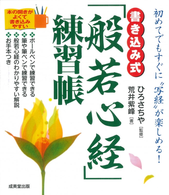 書き込み式 「般若心経」練習帳の詳細を見る