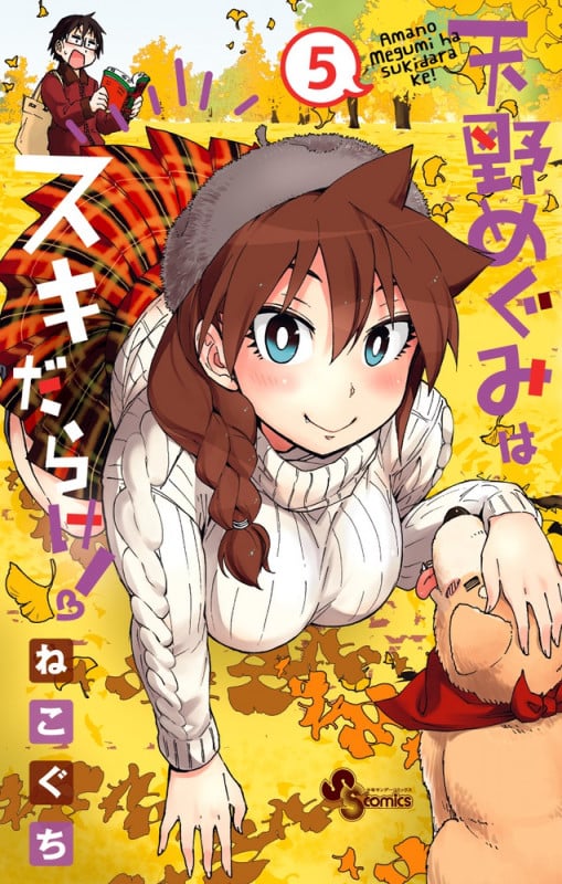 天野めぐみはスキだらけ! (5) (サンデーC)