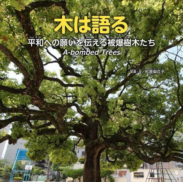 木は語る~平和への願いを伝える被爆樹木たち A-bombed Trees〜