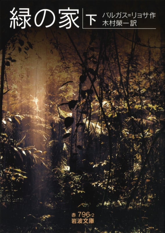 緑の家 下 (岩波文庫 赤796-2)の詳細を見る