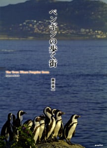 ペンギンの歩く街