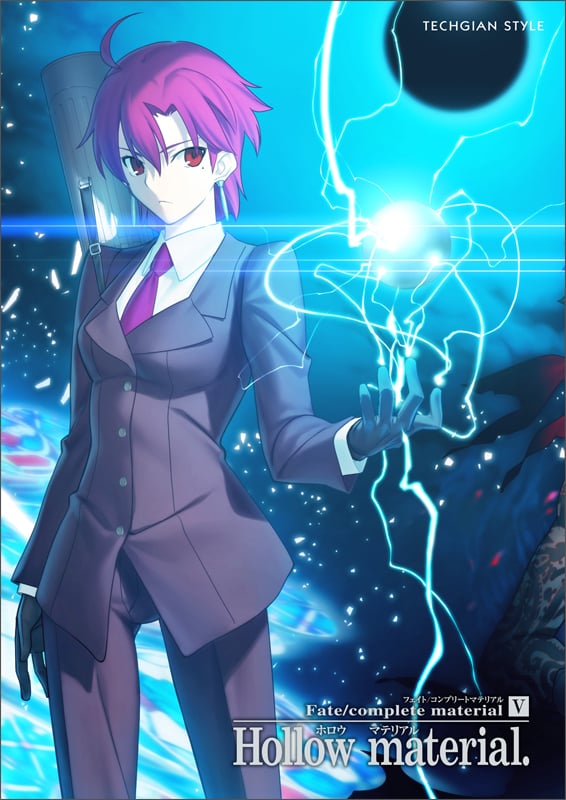 Fate/complete material V Hollow material.