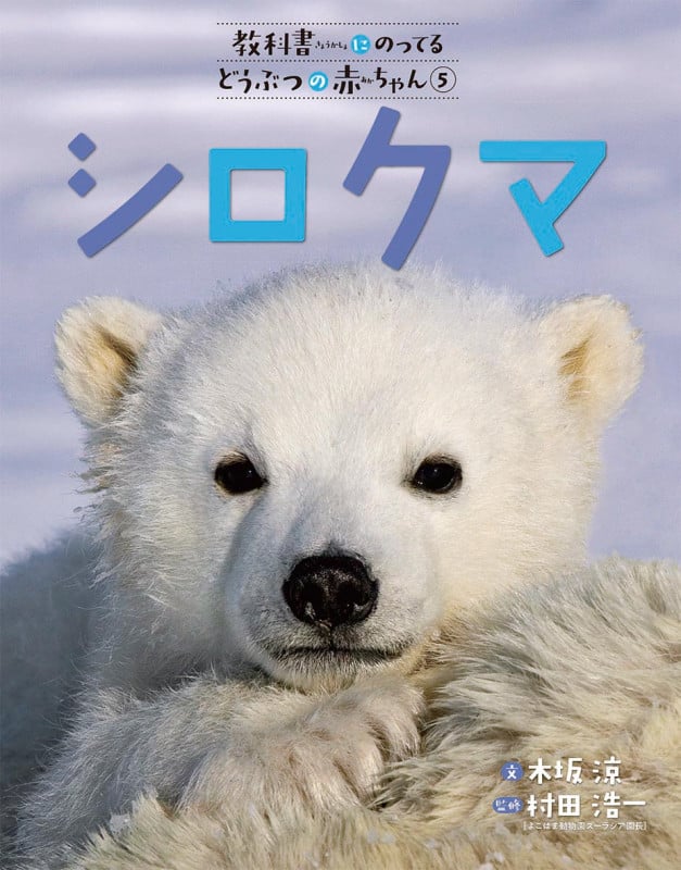 シロクマ (教科書にのってるどうぶつの赤ちゃん 5)