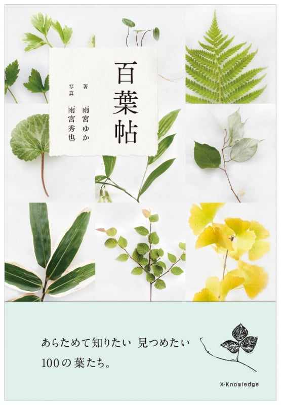 百葉帖 ―あらためて知りたい 見つめたい 100の葉たち。