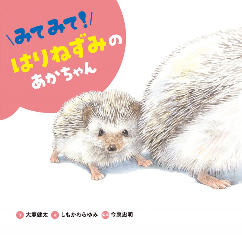 みてみて!はりねずみのあかちゃん (みてみて!どうぶつのあかちゃん)