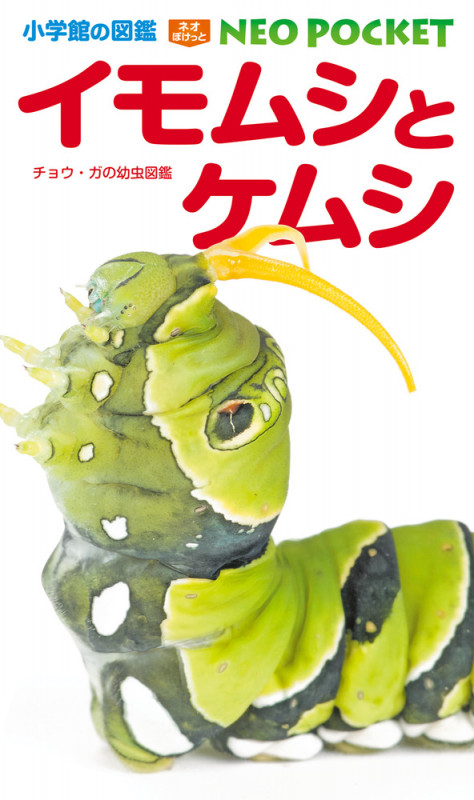 イモムシとケムシ チョウ・ガの幼虫図鑑 (小学館の図鑑NEO POCKET 11)