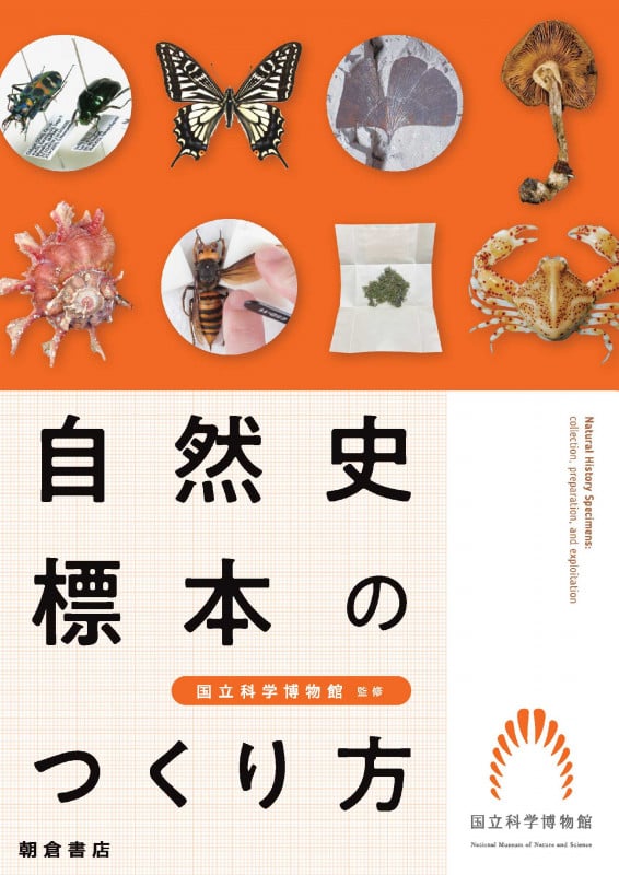 自然史標本のつくり方