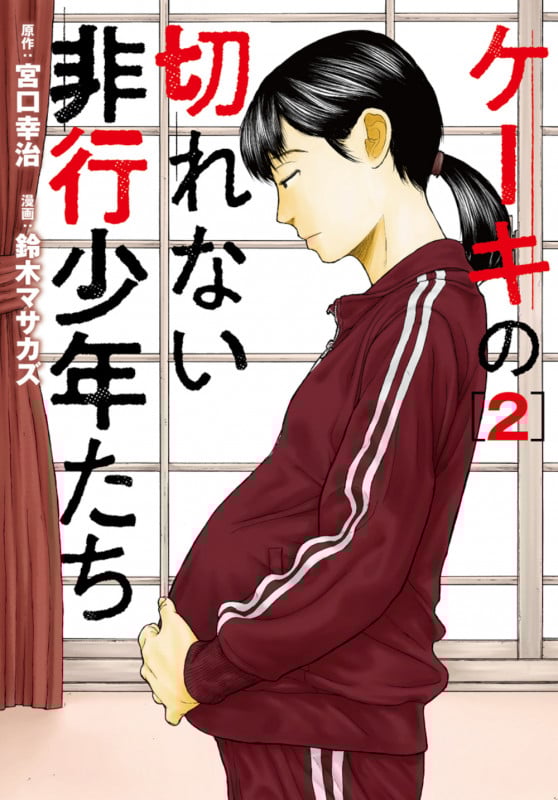 ケーキの切れない非行少年たち (2) (バンチC)