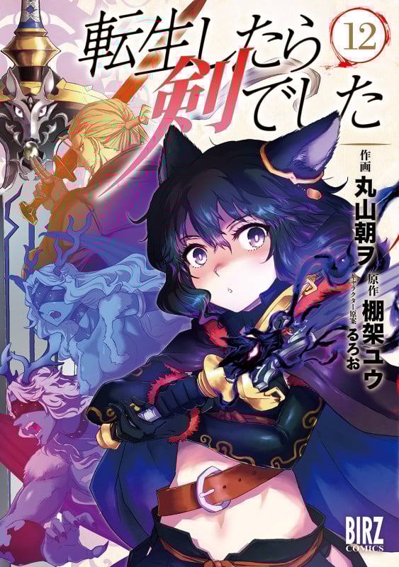 転生したら剣でした  (12) (バーズコミックス)