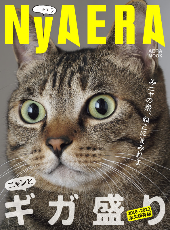 NyAERA(ニャエラ)ギガ盛り (AERAムック)の詳細を見る