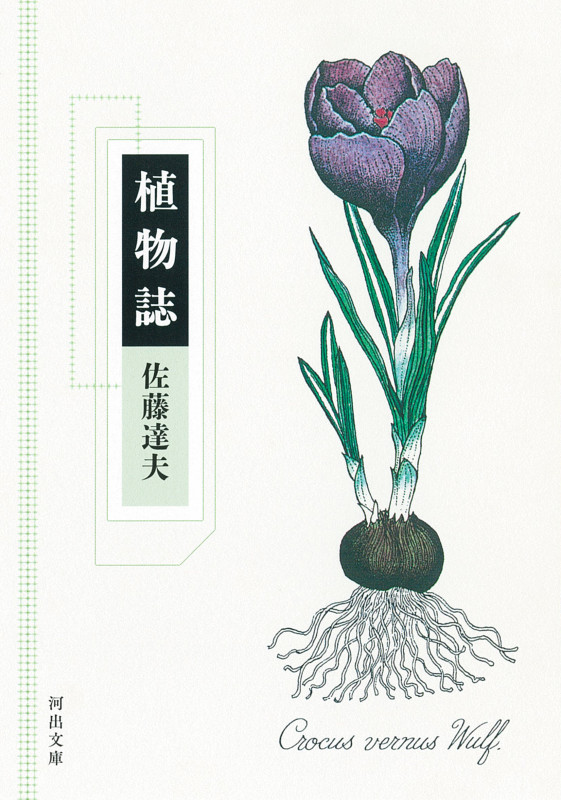 植物誌 (河出文庫)